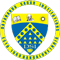 Logo-DSI